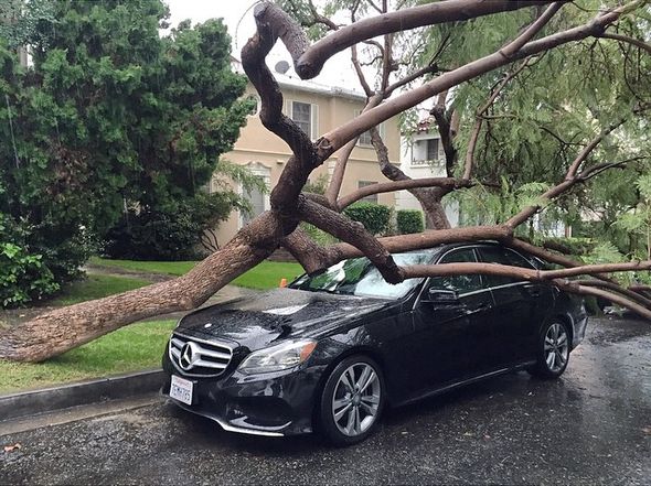 Mercedes-Benz Райана Филиппа