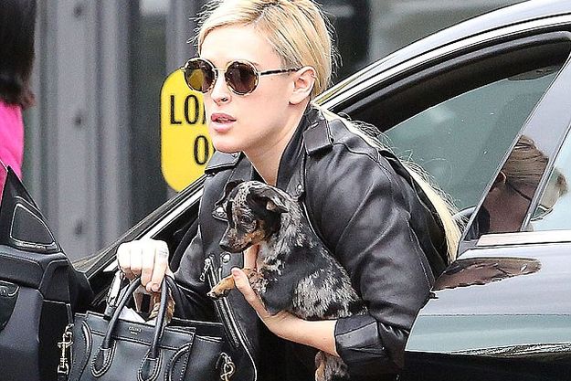 Румер Уиллис посетила салон красоты вместе с собакой
