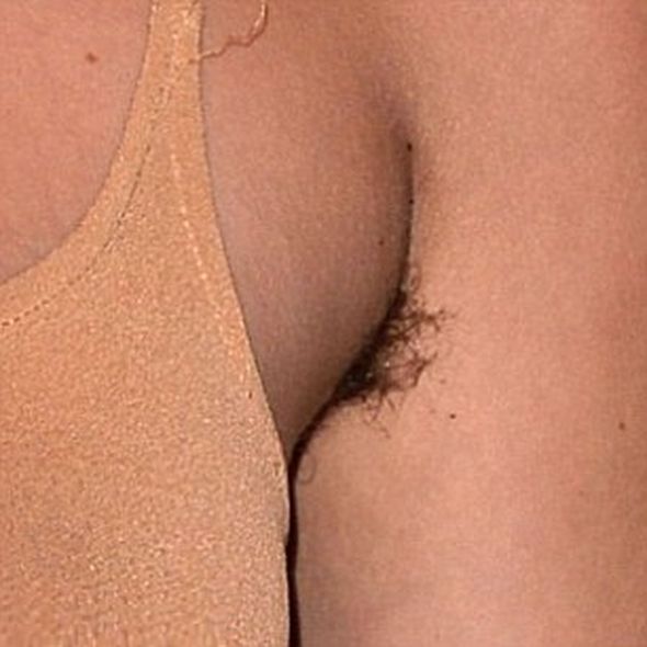 Скаут Уиллис