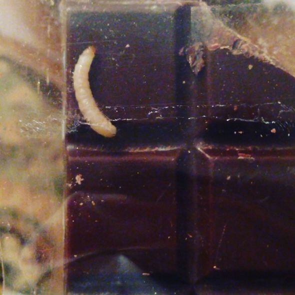 Шоколадка Стаса Пьехи