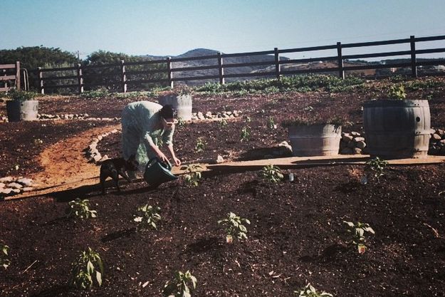Леди Гага занялась огородничеством