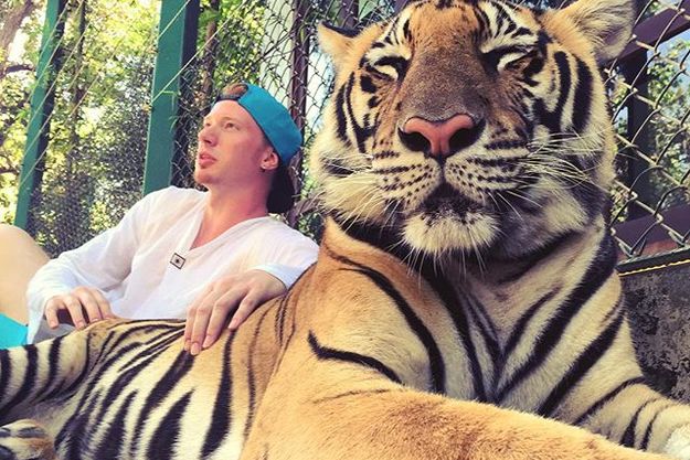 Никита Пресняков подружился с тигром
