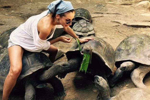 Светлана Лобода подружилась с черепахами