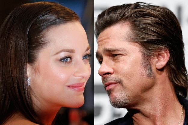 Брэд Питт разводится с Джоли ради Марион Котийяр