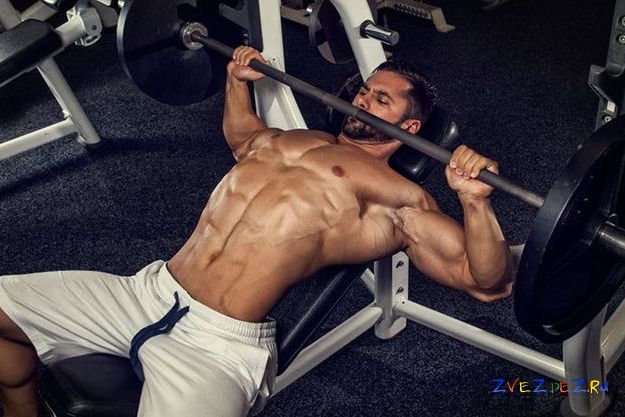 Советы начинающим бодибилдерам