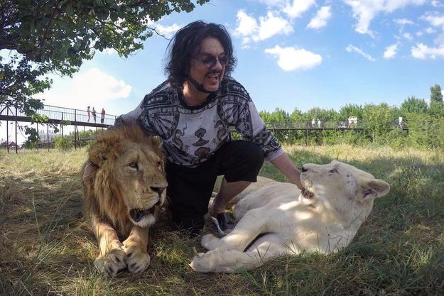 Филипп Киркоров подружился с царем зверей и его женой
