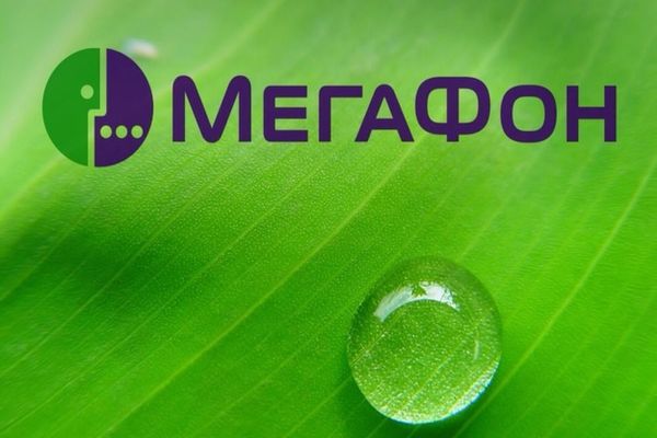 Красивый номер – эффективное решение