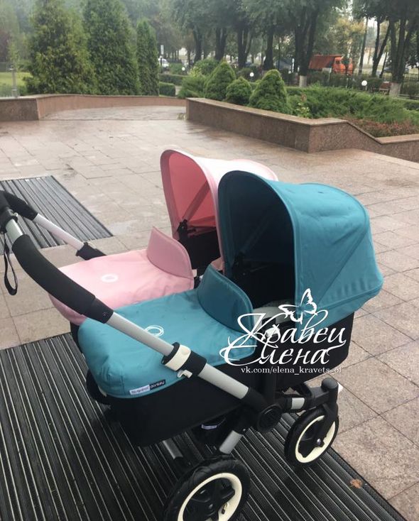 Елена Кравец