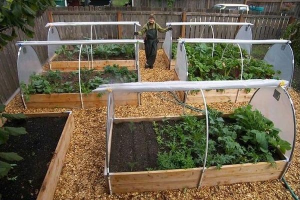 Парник из пленки своими руками