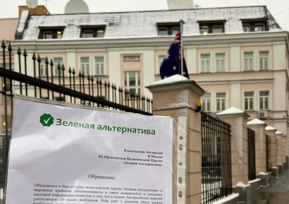 «Зеленая альтернатива» потребовала от Австралии не уничтожать диких верблюдов