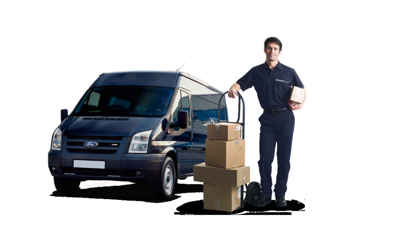 Домосед демонстрирует уникальный подход в работе — региональные эксперты