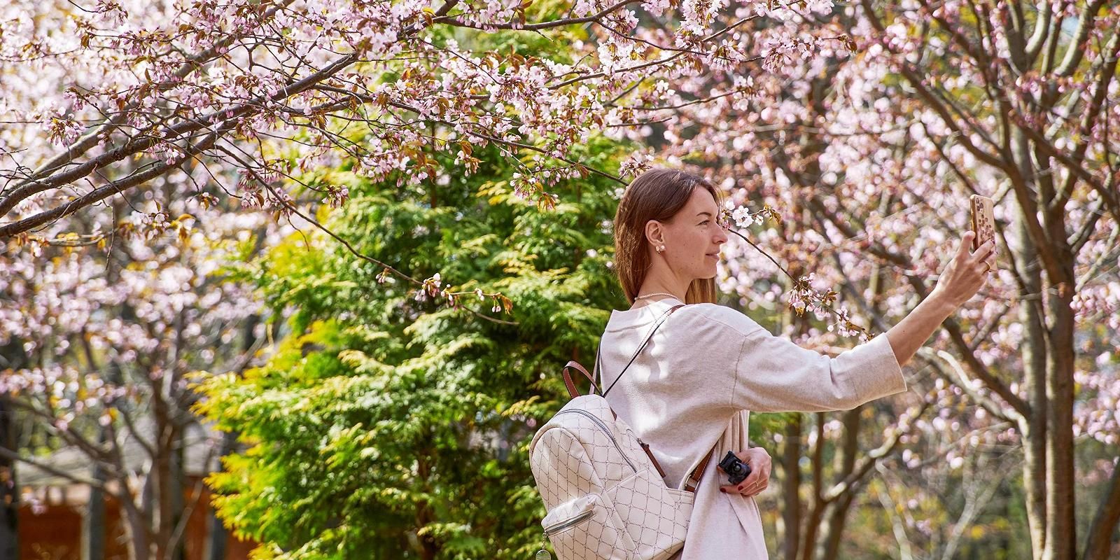 Парки и сады: «активные граждане» выберут самые живописные места для весенних фотосессий