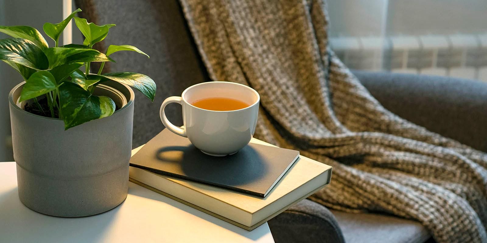 С помощью сервиса «Библиотеки Москвы» забронировано уже более 800 тысяч книг